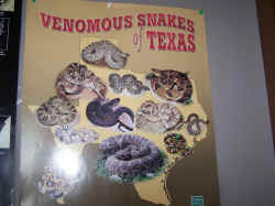 Interpretive Center inside9.jpg (1077011 bytes)